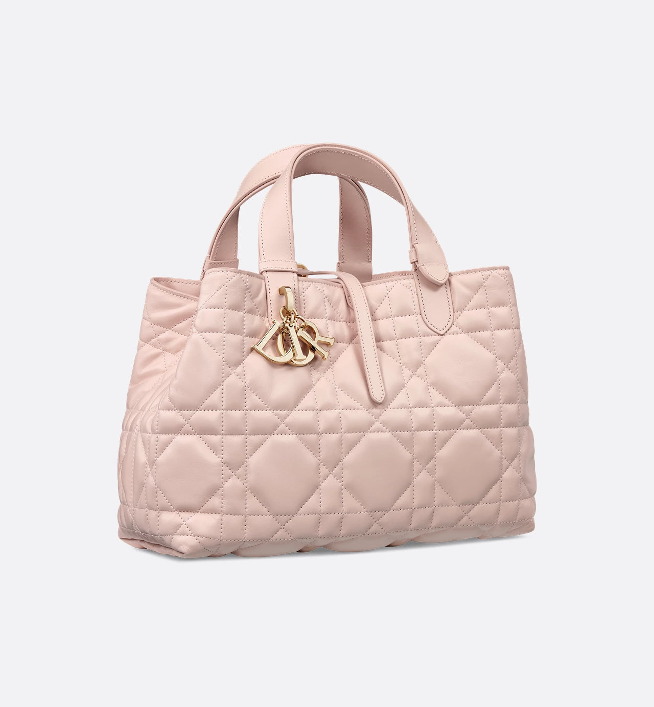 Bolsa Dior Toujours média