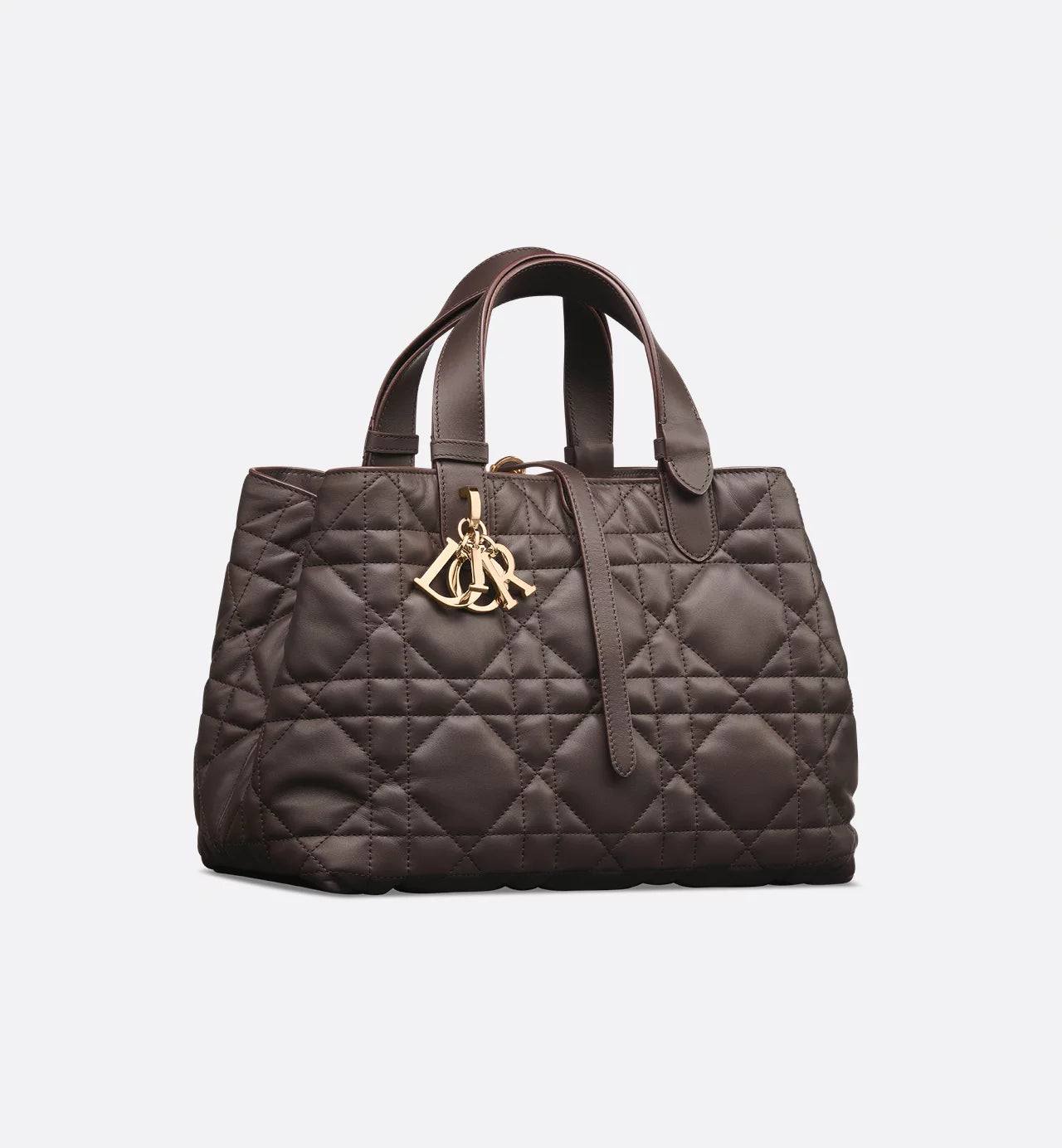 Bolsa Dior Toujours média